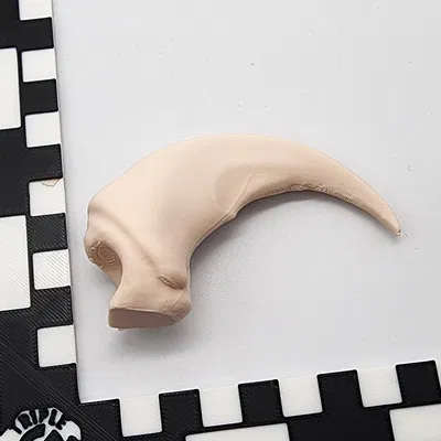 Móng Vuốt Gấu Bắc Mỹ Giả Lập