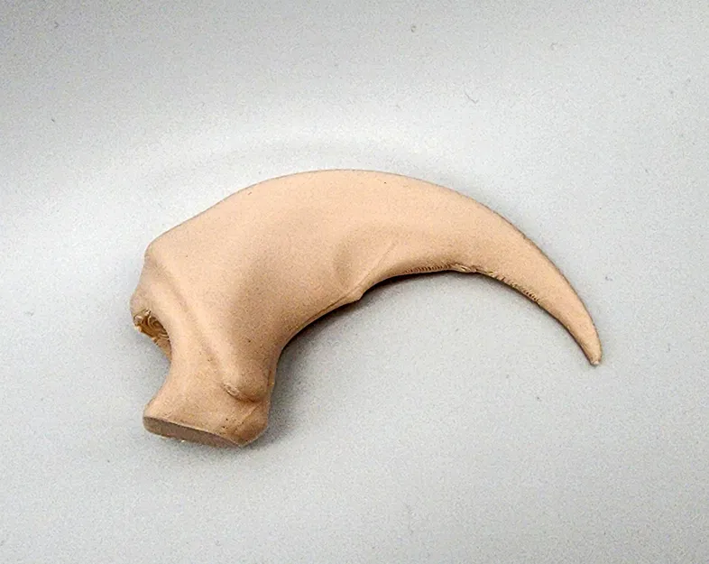 Móng Vuốt Gấu Bắc Mỹ Giả Lập - Image 3