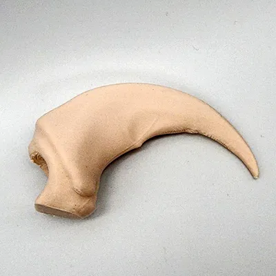 Móng Vuốt Gấu Bắc Mỹ Giả Lập