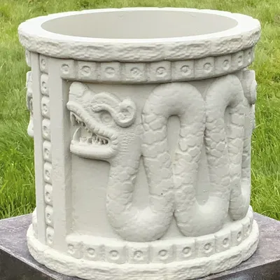 Chậu cây rắn Aztec
