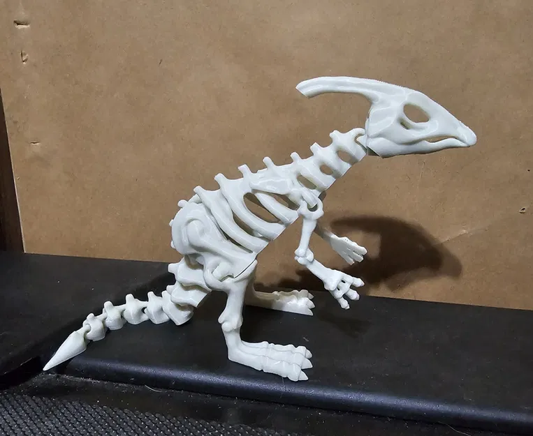 Mô hình Xương Khủng Long Khớp Nối 6 - Image 1