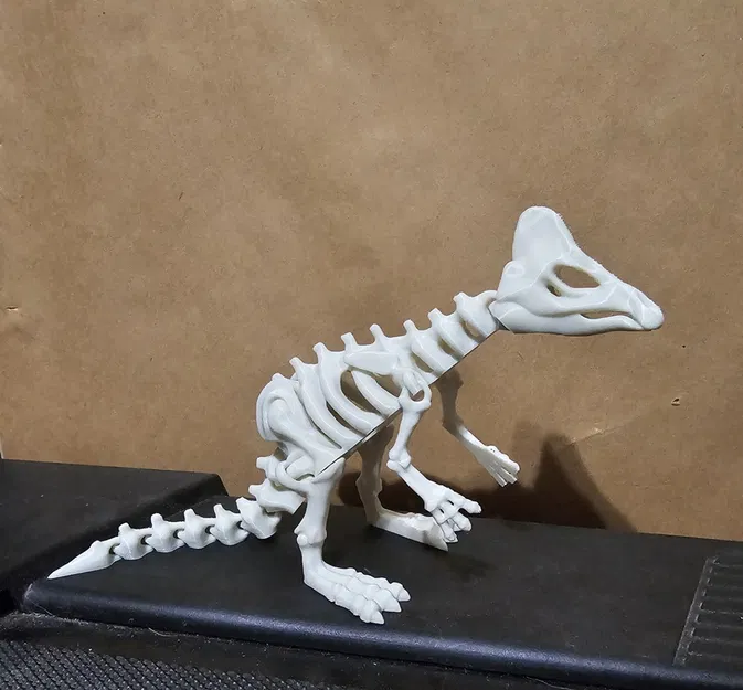 Mô hình Xương Khủng Long Khớp Nối 6 - Image 2