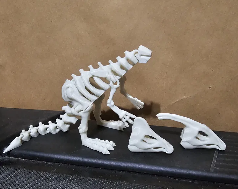 Mô hình Xương Khủng Long Khớp Nối 6 - Image 4