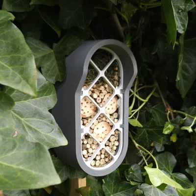 Thành phố côn trùng: Tiền đồn côn trùng đô thị