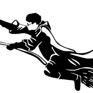 Tranh Tường Harry Potter Bắt Kim Snitch