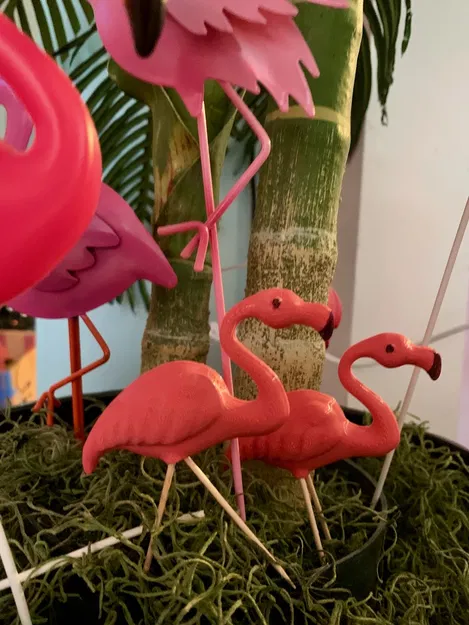 Hồng Hạc Remix Chân Tiến/Lùi - Image 2