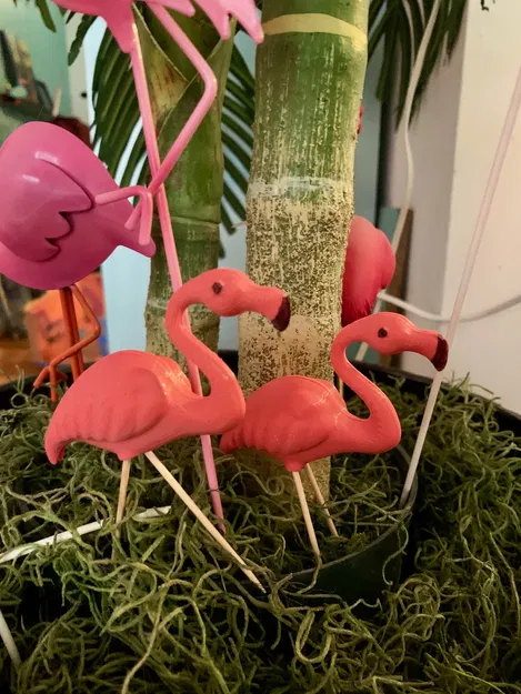 Hồng Hạc Remix Chân Tiến/Lùi - Image 4