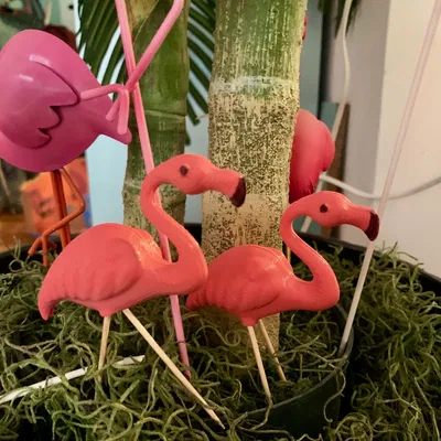 Hồng Hạc Remix Chân Tiến/Lùi