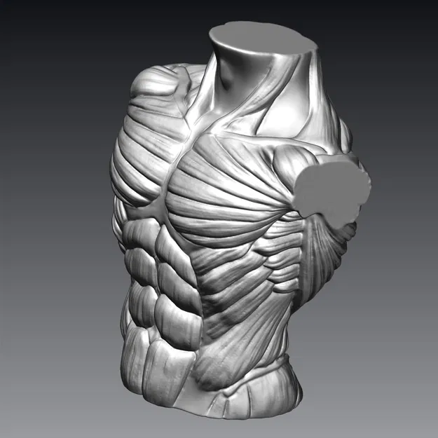 Tượng Ngực Cơ Bắp Nam - Image 3