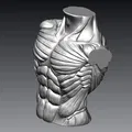 Tượng Ngực Cơ Bắp Nam - Thumbnail 3