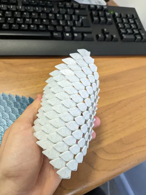 Áo Khoác Da Rồng - Image 2