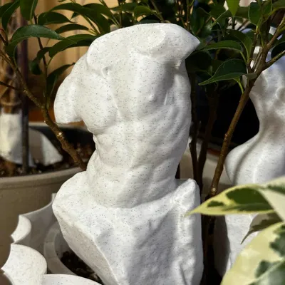 Tượng Cơ Thể Nam Giới Điêu Khắc Từ Đá