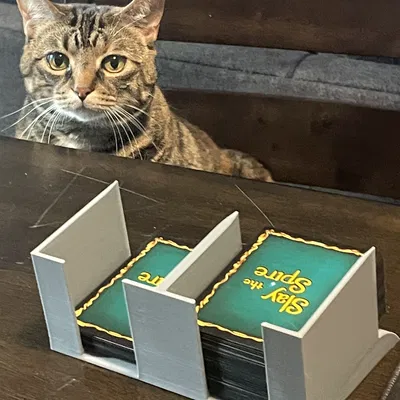 Hộp Đựng Thẻ Thưởng Board Game Slay the Spire