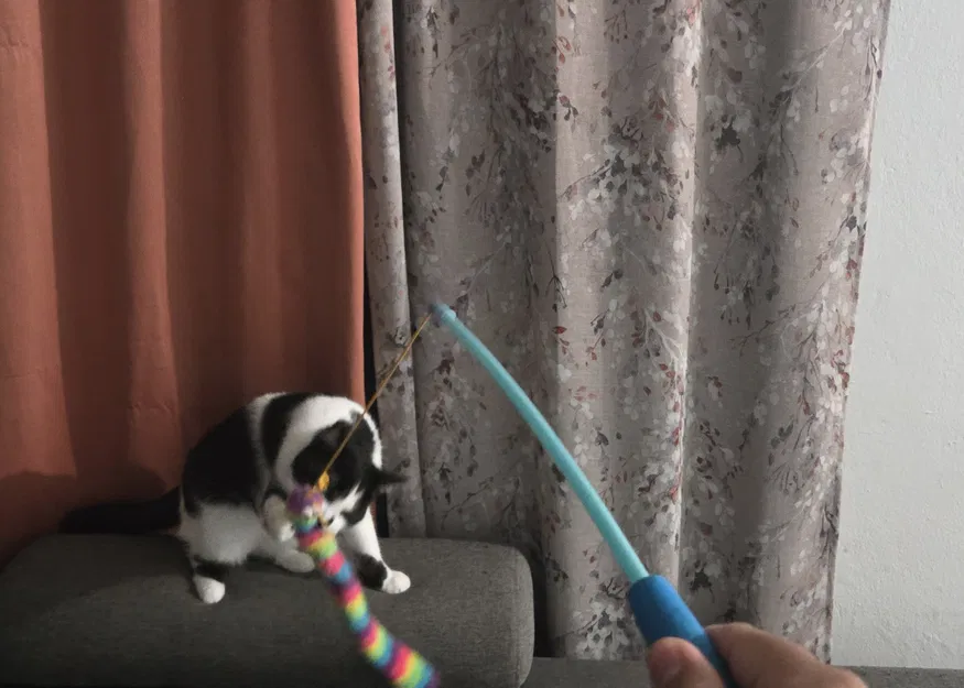 Phụ tùng sửa chữa và chuyển đổi đồ chơi cây roi cho mèo - Image 4