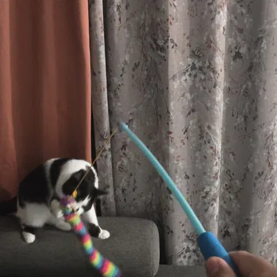 Phụ tùng sửa chữa và chuyển đổi đồ chơi cây roi cho mèo