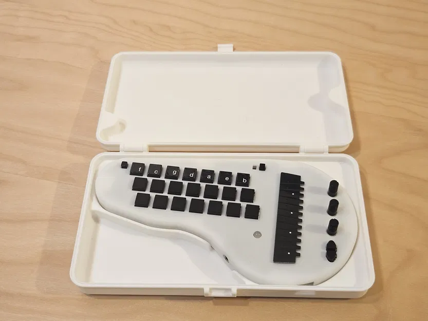 Hộp Đựng Minichord Chuyên Dụng - Image 2