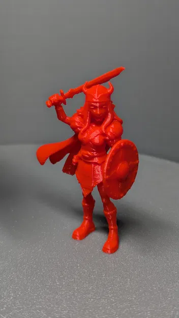 Nữ chiến binh Viking | Phiên bản Hoạt hình PrintU - Image 4