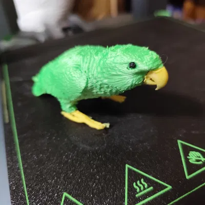 Mô hình vẹt Kākāpō vụng về làm lại