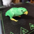 Mô hình vẹt Kākāpō vụng về làm lại - Thumbnail 6