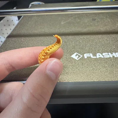 Xúc Tu Cho Dummy 13