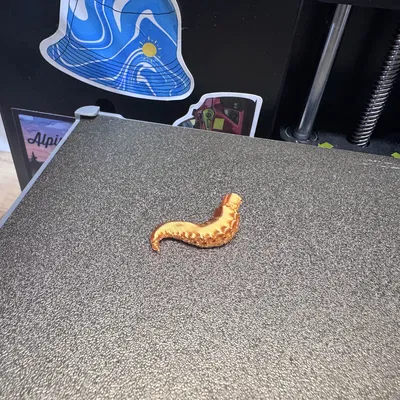 Xúc Tu Cho Dummy 13