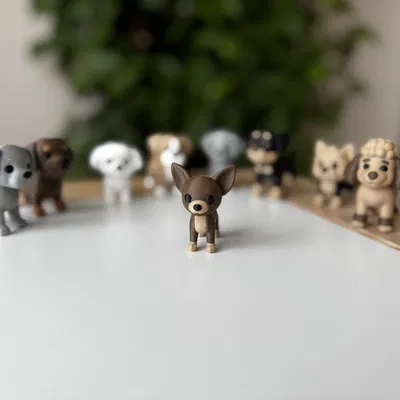 Chó Chihuahua con - Mô hình in 3D
