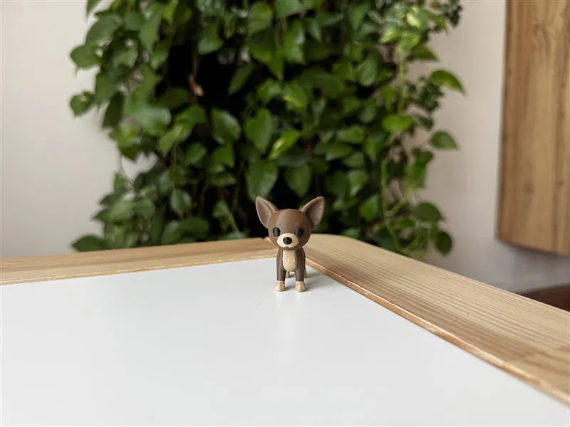Chó Chihuahua con - Mô hình in 3D - Image 3