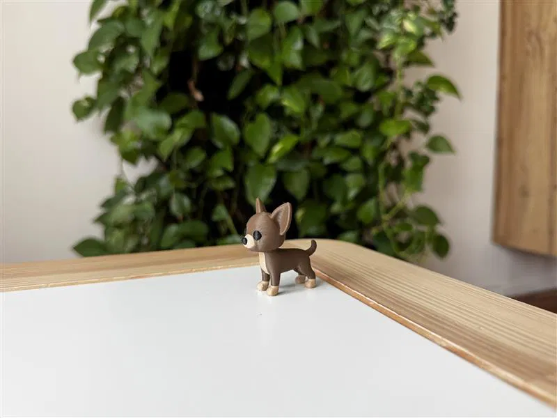 Chó Chihuahua con - Mô hình in 3D - Image 4