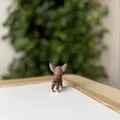 Chó Chihuahua con - Mô hình in 3D - Thumbnail 6