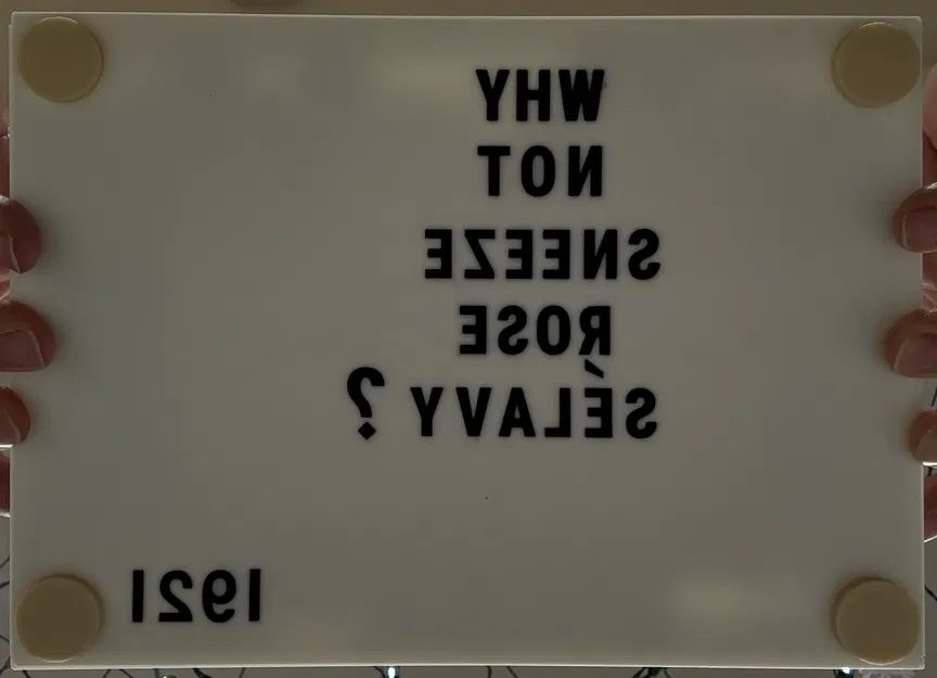 Mô hình 'Why Not Sneeze, Rose Sélavy?' của Marcel Duchamp - Image 4