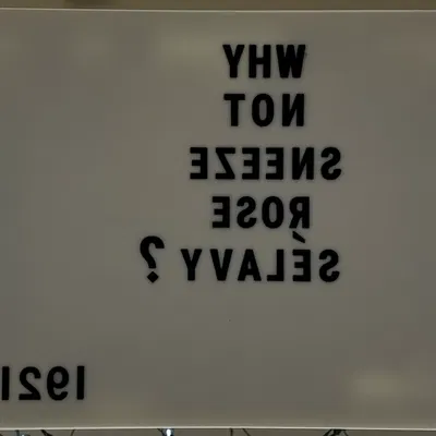 Mô hình 'Why Not Sneeze, Rose Sélavy?' của Marcel Duchamp