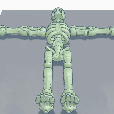 Mô hình Esqueleto - Bộ Xương Khớp Nối