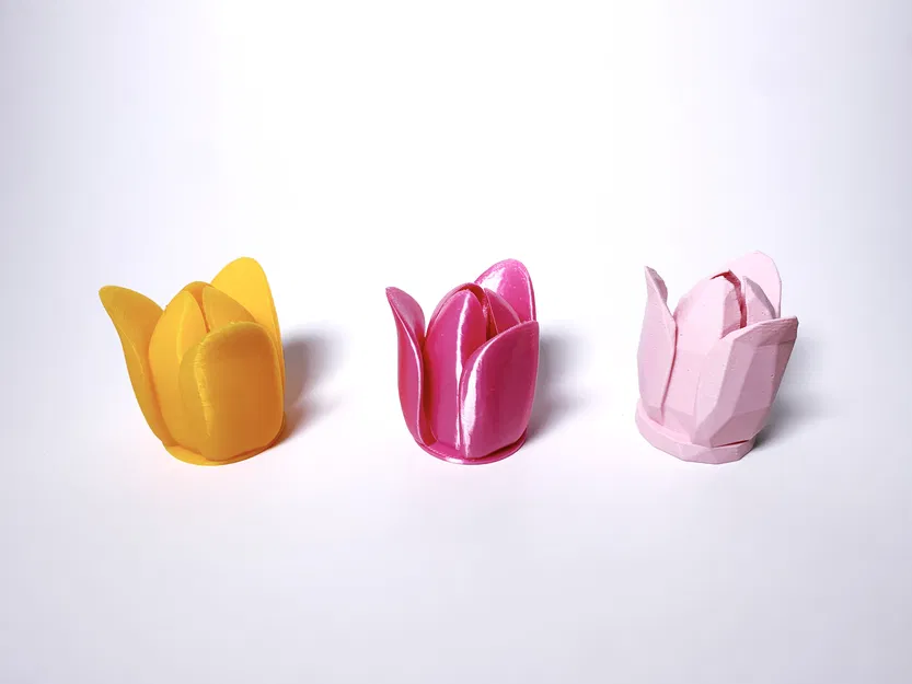 Hoa Tulip + Phiên Bản Low Poly - Image 1