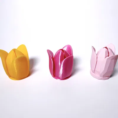 Hoa Tulip + Phiên Bản Low Poly