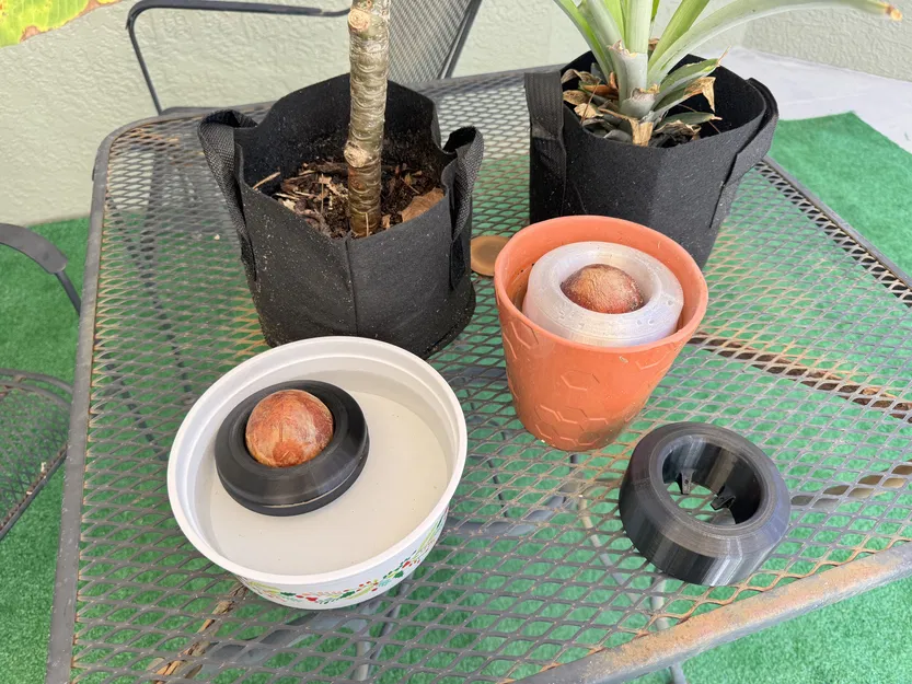 Phao Hạt Bơ Lớn (60mm) - Image 1