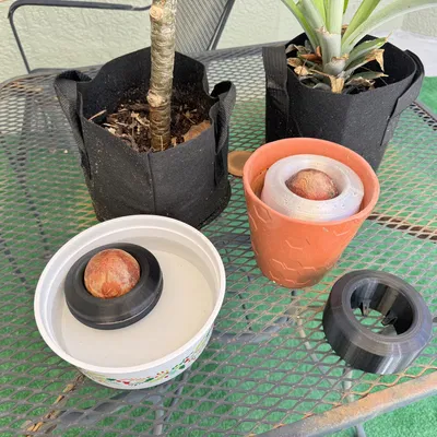 Phao Hạt Bơ Lớn (60mm)