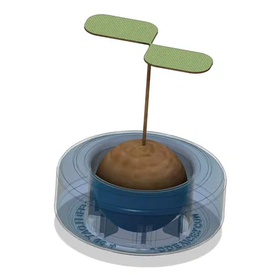 Phao Hạt Bơ Lớn (60mm)