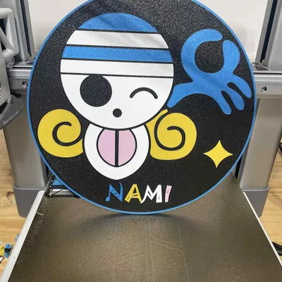 Đĩa Nami One Piece 5 Màu
