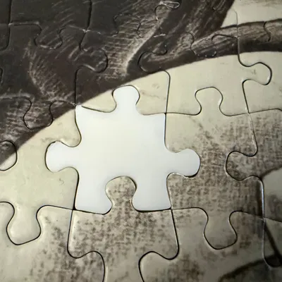 Miếng ghép cho bộ xếp hình Escher