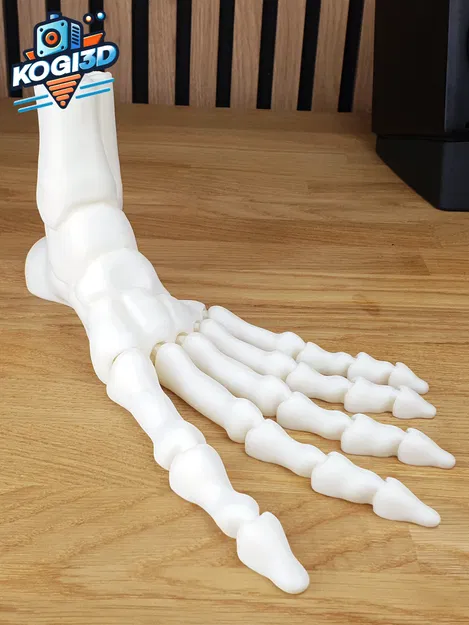 Bàn Chân Bộ Xương Khớp Toàn Diện In-Place - Image 2