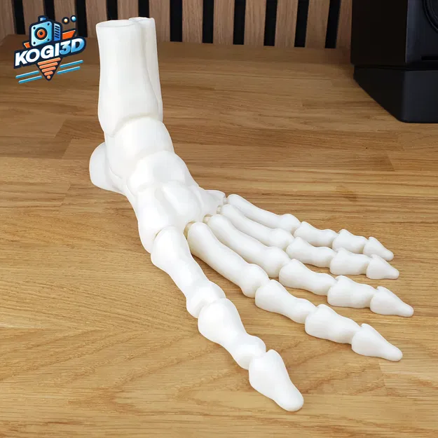 Bàn Chân Bộ Xương Khớp Toàn Diện In-Place - Image 6