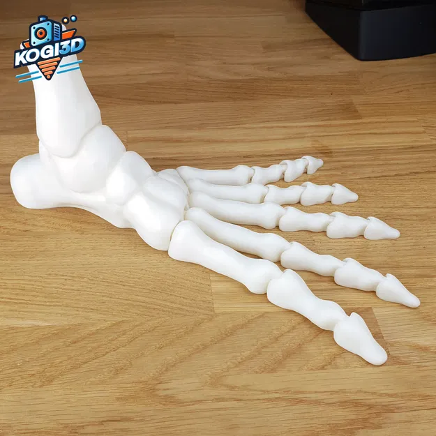 Bàn Chân Bộ Xương Khớp Toàn Diện In-Place - Image 7