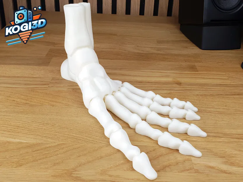 Bàn Chân Bộ Xương Khớp Toàn Diện In-Place - Image 8