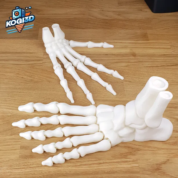 Bàn Chân Bộ Xương Khớp Toàn Diện In-Place - Image 12