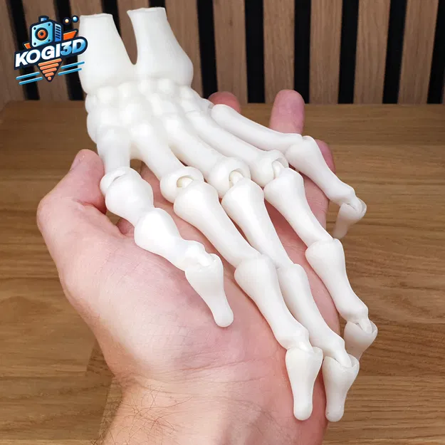 Mô Hình Bàn Tay Bộ Xương Khớp Hoạt Hình In Liền Mạch - Image 1