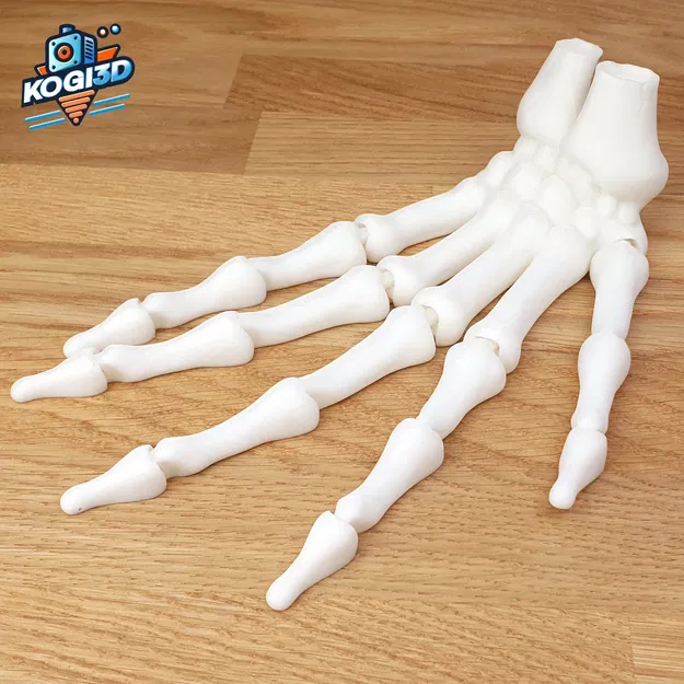 Mô Hình Bàn Tay Bộ Xương Khớp Hoạt Hình In Liền Mạch - Image 7