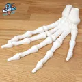 Mô Hình Bàn Tay Bộ Xương Khớp Hoạt Hình In Liền Mạch - Thumbnail 7