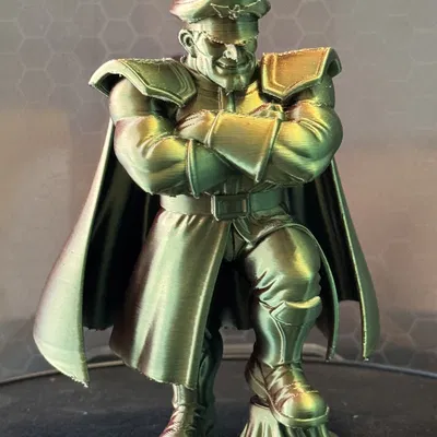 Mô Hình M.Bison 3D