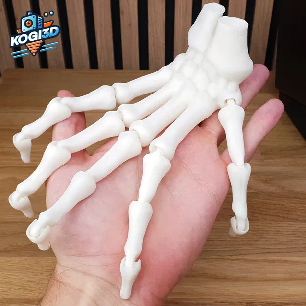 Mô Hình Bàn Tay Bộ Xương Khớp Hoạt Hình In Liền Mạch - Image 8