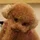 JacobWang_2615998